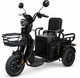 Электроскутер трехколесный ATLAS Ant 800W Black - изображение 1