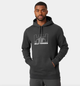 Худи мужское Helly Hansen Nord Graphic L Чорний 62975-981 - изображение 1