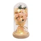 Букет троянд у колбі Lesko Light Pink з LED-підсвіткою нічник на батарейках - зображення 2