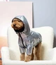 Дощовик DogsBomba Вініл срібло розмір 5 для середніх порід мопсів французьких бульдогів теплий водонепроникний демісезонний куртка на флісі поліуретанове покриття блискавка на животі отвір для шлейки унісекс (М-141/5) - зображення 2