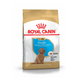 Сухий корм для цуценят Royal Canin Poodle Puppy (Роял Канін Пудель Паппі), 500 гр. - изображение 1