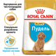 Сухий корм для цуценят Royal Canin Poodle Puppy (Роял Канін Пудель Паппі), 500 гр. - изображение 2