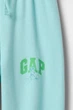 Комплект: свитшот и брюки Gap 68-80(см) Бирюзовый (158489) - изображение 6