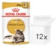 Opakowanie mokrej karmy dla dorosłego kota ROYAL CANIN Maine Coon - saszetki 12 x 85 g (9003579001202) - obraz 1