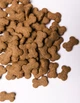 Chrupiące przysmaki Savory dla zdrowego wzrostu szczeniąt jagnięcina i rokitnik 200 g (31379) (4820232631379) - obraz 3