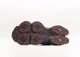 Чоловічі кросівки 9060 Truffle Rich Earth Violet Grey замша текстиль 42 фіолетовий - изображение 6