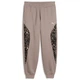 Штани спортивні PUMA SPORT ANIMAL Pants Puma 637612-81 34 Бежевий (4070033327678) - изображение 4