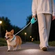 Поводок-рулетка для собак DT868 со встроенным LED фонариком и подсветкой 5 метров (Mint Green) - изображение 3