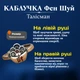 Кольцо безразмерное Талисман изобилия и денежного потока Фен шуй в серебрянном цвете - изображение 2