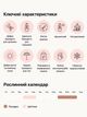 Нарцис My Story (2 шт. в пакованні) - зображення 5