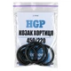 Ремкомплект HGP для PCP Kozak Хортица 450/220 - изображение 3