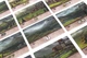 Gra planszowa Funtails Glen More 2 Kroniki (5902650615687) - obraz 15