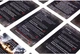 Dodatek do gry Rebel Frostpunk Pionierzy - rozszerzenie (5902650617599) - obraz 4