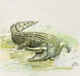 Gra planszowa Rebel Śladami Darwina (5902650618824) - obraz 13