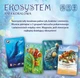 Gra planszowa Matt Simpson Eko system 2: Rafa koralowa (5904915900408) - obraz 2