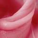 Акрил-гель DNKa Acryl Gel, 30 мл, №05 Powder, баночка - изображение 2