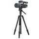 Штатив Vanguard Vesta Go 234CV10 (Vesta Go 234CV10) 5193471 - изображение 3