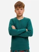 Детская пижама для мальчика НатаЛюкс Family Look 94561348888 122-128 см Зеленая (9456134888841) - изображение 6