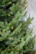 Штучна новорічна ялинка Віденська 2.3 м лита зелена з металевою підставкою - изображение 9