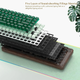 Беспроводная механическая клавиатура Womier WD75 V2 Green, корпус из натурального дерева, 75%, RGB подсветки 2.4G/Bluetooth/USB - изображение 5