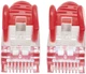 Patchcord Intellinet Cat 7 S/FTP (S-STP) RJ-45 0.5 m Red (766623740630) - obraz 3