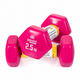 Гантели Gemini Sport для фитнеса с виниловым покрытием 2шт по 2.5кг GSD-2.5PINK - изображение 1