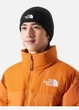 Шапка The North Face TNF унисекс черная с логотипом, One Size HAT-TNF-011-BLK - изображение 3