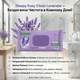 Вологі серветки для прибирання Sleepy Easy Clean Lavander 100 шт. - зображення 2