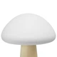 LED лампа настольная с аккумулятором VIDEX VL-TF25BG 4W 3000-6500K+RGB Beige - изображение 4