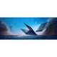 Ноутбук Acer Predator Helios Neo 16S AI PHN16S-I51 (NH.U3TEU.003) - изображение 2