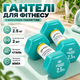 Гантелі Gemini Sport для фітнесу з вініловим покриттям 2 шт. по 2.5 кг GSD-2.5CYAN - зображення 1