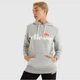 Худи женское Ellesse Torices Oh Hoody SGS03244-112 L Серое - изображение 1