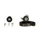 Комплект ГРМ Jumpy/Scudo/Expert 2.0 (EW10J4) 00-06 - GATES (K015528XS) - изображение 3