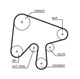 Комплект ГРМ (+помпа) MAZDA 3/5/6 2.0 05-10 - GATES (KP15630XS) - изображение 2