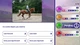 Игра для Nintendo Switch Equestrian Training Код электронный (3701529508066) - изображение 4