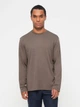 Лонгслив мужской Calvin Klein 737402978 L Коричневый (1162521144) - изображение 1