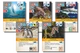 Додаток до настільної гри Portal Games Ark Nova: Водний світ (5902560388688) - зображення 11