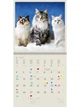 Календарь настенный 2027 HELMA 30 x 30 см Cats (LP01-27) 8596641041714 - изображение 4
