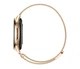 Умные часы Maxcom Ecowatch 3 Gold - изображение 5
