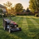 Американская газонная трава GrassNature, 20 кг – засухоустойчивый и морозостойкий газон - изображение 4