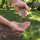 Американская газонная трава GrassNature, 20 кг – засухоустойчивый и морозостойкий газон - изображение 5