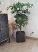 Горщик для квітів Keter Cube Planter S 29,5х29,5х29,7 см пластиковий вуличний графіт (230227) - изображение 2