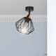 Спот EMIBIG Lighting VESTA 1A BLACK 392/1A Е27 60Вт - изображение 2