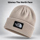 Зимняя мужская шапка The North Face TNF для зимы, теплая вязаная шапка Норт Фейс на зиму, универсальный размер One Size AGR-0 бежевый цвет - изображение 1