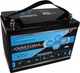 Akumulator PATONA Platinum LiFePO4 12V 100Ah T16 Strong life 10 year (4055655228022) - obraz 1