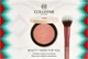 Zestaw kosmetyków do makijażu Collistar Róż do policzków Impeccabile Maxi Blush 09 Sienna 8 g + Pędzel do makijażu (8015150011044) - obraz 3