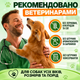 Жувальна добавка для суглобів собак Commanding Life Hip + Joint з глюкозаміном, хондроїтином та MSM, смак курки, 90 шт - изображение 4
