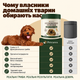 Добавка для поддержки иммунитета собак Petcarex – грибной порошок из 11 видов грибов для поддержки пищеварения, общего самочувствия и жизненного тонуса, трутовик разноцветный, рейши, ежовик гребенчатый, вкус бекона, 60 г, 60 порций - изображение 9