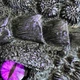 Подарочный блокнот ручной работы Око дракона - Аметистовая ночь с 3D-обложкой - изображение 4