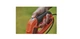 Триммер сетевой BLACK&DECKER BESTE625-QS - изображение 4